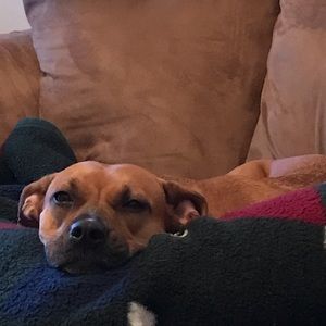 Meet your Posher, Victoria